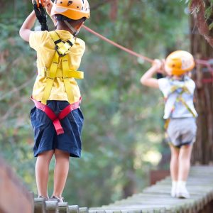 Accrobranche Ou Lancer De Haches En Famille Au Parc Robinson Pays Basque OohN.com Special Offers, Deals & Discounts in France