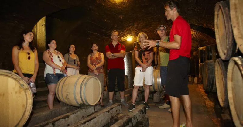 Atelier Œnologique Pour 1 Ou 2 Personnes Avec Chateau Levesque Aix-en-Provence OohN.com Special Offers, Deals & Discounts in France 3