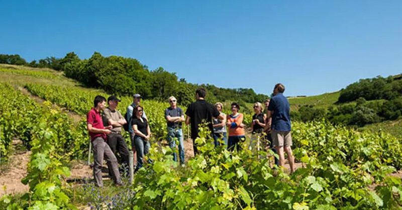 Atelier Œnologique Pour 1 Ou 2 Personnes Avec Chateau Levesque Aix-en-Provence OohN.com Special Offers, Deals & Discounts in France