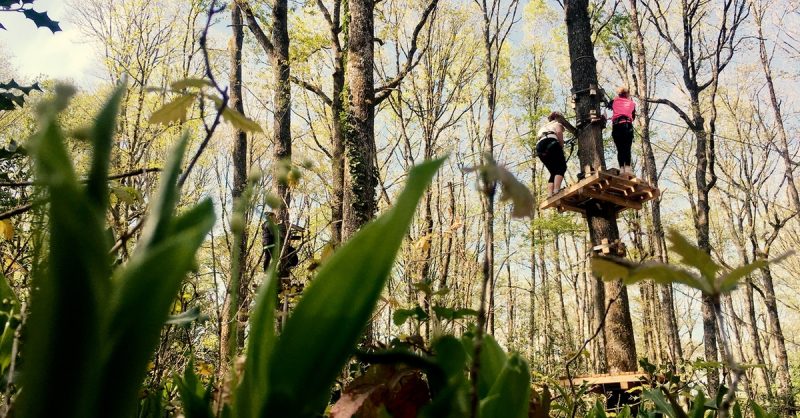 Aventure En Plein Air : Orientation, Accrobranche Ou Paintball Orléans OohN.com Special Offers, Deals & Discounts in France 3