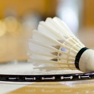 Badminton – Loisir Strasbourg OohN.com Special Offers, Deals & Discounts in France