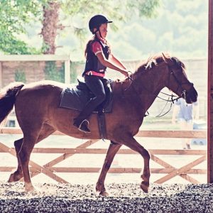 Balade À Poney Essonne OohN.com Special Offers, Deals & Discounts in France