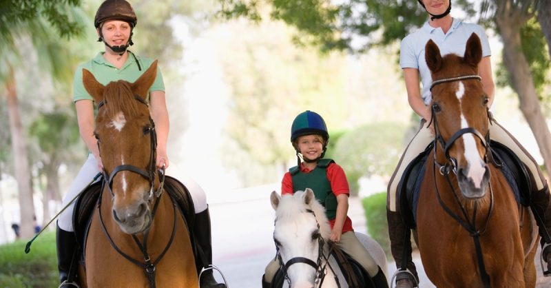 Balade À Poney Et À Cheval À Sqy Equitation Yvelines OohN.com Special Offers, Deals & Discounts in France