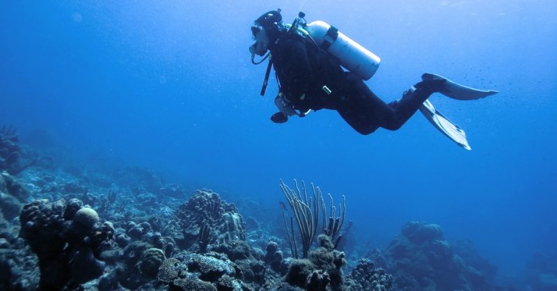Baptême Ou Initiation De Plongée Avec Aquatic Rando Fréjus – Saint-Raphaël OohN.com Special Offers, Deals & Discounts in France