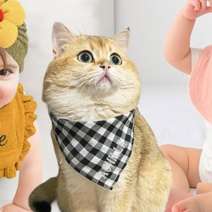Bavoir Personnalisé En Coton Doux Avec Justyling National Deal OohN.com Special Offers, Deals & Discounts in France