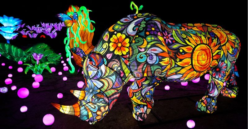 Billet Adulte Ou Enfant Pour Le Zoo Damneville Belfort – Besançon OohN.com Special Offers, Deals & Discounts in France 2