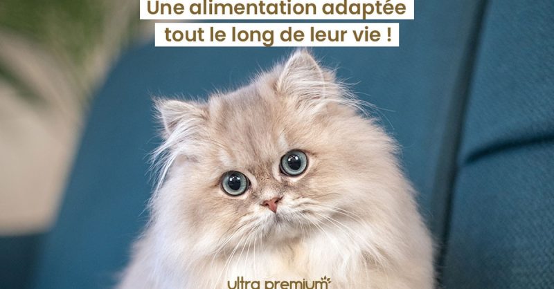 Bon Dachat De 20€ Chez Ultra Premium Direct National Deal OohN.com Special Offers, Deals & Discounts in France 2