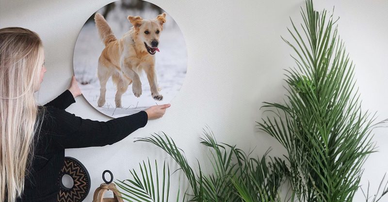 Cadre Cercle Personnalisé Avec Hello Deco National Deal OohN.com Special Offers, Deals & Discounts in France 2