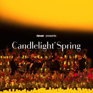Candlelight Spring : Les Quatre Saisons de Vivaldi at Amphithéâtre de l’École de Médecine, Montpellier, France OohN.com Special Offers, Deals & Discounts in France