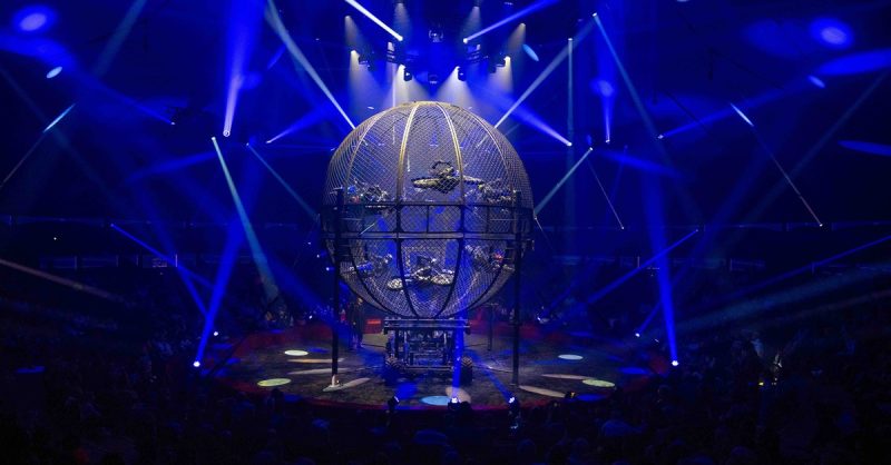 Cirque Arlette Gruss À Mulhouse Mulhouse OohN.com Special Offers, Deals & Discounts in France 3