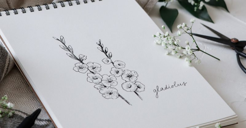 Cours De Dessin Et Illustration Avec International Open Academy National Deal OohN.com Special Offers, Deals & Discounts in France 3