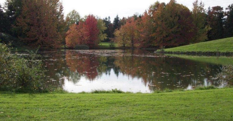 Cours De Golf Essonne OohN.com Special Offers, Deals & Discounts in France 3