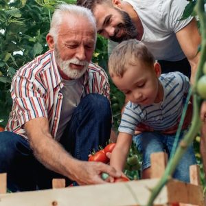 Cours De Jardinage Bio National Deal OohN.com Special Offers, Deals & Discounts in France
