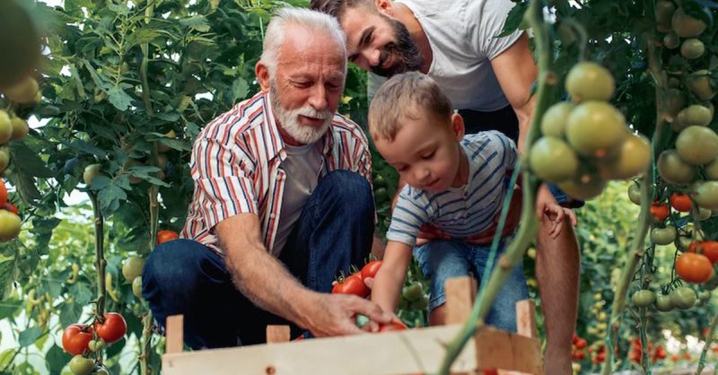 Cours De Jardinage Bio National Deal OohN.com Special Offers, Deals & Discounts in France