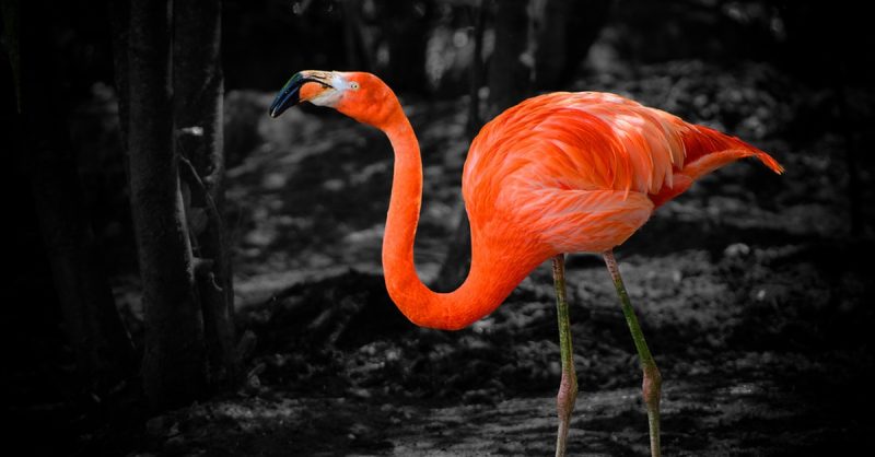 Cours De Photographie De 3h Avec Votre Appareil Avec Virgile Photo Passion Nantes OohN.com Special Offers, Deals & Discounts in France 2