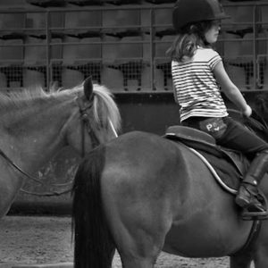 Cours Équestres Pour Enfant Au Centre Équestre Régional René Dujardin Lille OohN.com Special Offers, Deals & Discounts in France