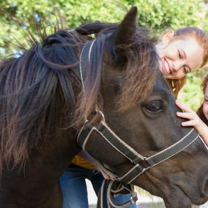 Découverte De Léquitation Avec Elia Equitation Lille OohN.com Special Offers, Deals & Discounts in France