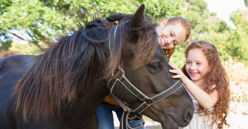 Découverte De Léquitation Avec Elia Equitation Lille OohN.com Special Offers, Deals & Discounts in France