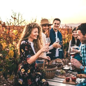 Dégustation À Domicile De 12 Vins Du Monde Avec Bouteille Offerte Lille OohN.com Special Offers, Deals & Discounts in France