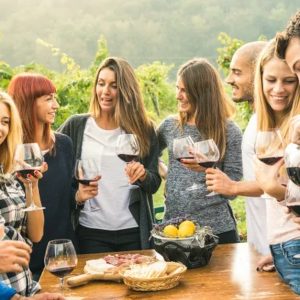 Dégustation De 12 Vins Du Monde À Domicile Dans Les Hauts-De-France Valenciennes OohN.com Special Offers, Deals & Discounts in France