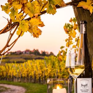 Dégustation De Vin Au Domaine Dopff Au Moulin Strasbourg OohN.com Special Offers, Deals & Discounts in France