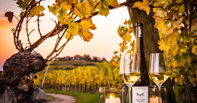 Dégustation De Vin Au Domaine Dopff Au Moulin Strasbourg OohN.com Special Offers, Deals & Discounts in France