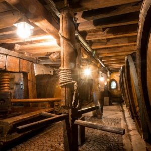 Dégustation – Vins Strasbourg OohN.com Special Offers, Deals & Discounts in France
