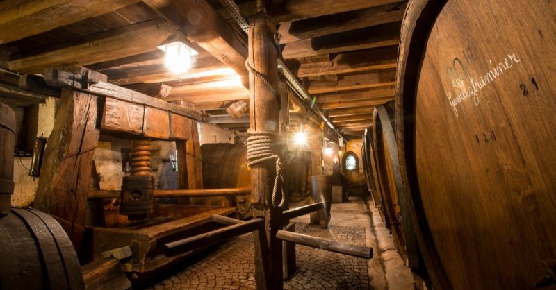 Dégustation – Vins Strasbourg OohN.com Special Offers, Deals & Discounts in France