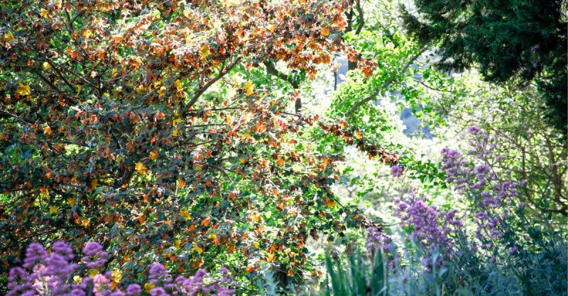 Entrée Visite Des Jardins De Labbaye De Valsaintes Nice OohN.com Special Offers, Deals & Discounts in France 2