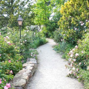 Entrée Visite Des Jardins De Labbaye De Valsaintes Nice OohN.com Special Offers, Deals & Discounts in France
