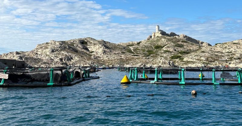 Excursion Au Cœur Du Vieux-Port Avec Bateau Marseille Calanques Marseille OohN.com Special Offers, Deals & Discounts in France 3