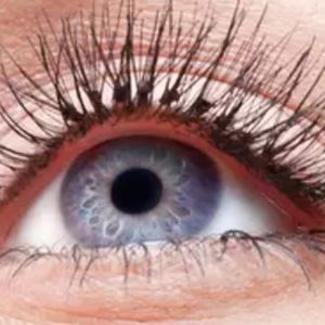Extension De Cils Au Choix Avec Les Instituts Bovi Marseille OohN.com Special Offers, Deals & Discounts in France