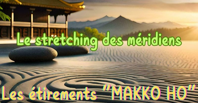 Formation Aux Étirements Des Méridiens Les Étirements Makko Ho National Deal OohN.com Special Offers, Deals & Discounts in France 3