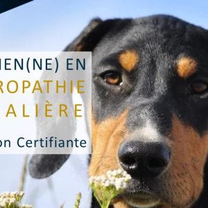 Formation En Naturopathie Animalière Avec Harmonie Formation National Deal OohN.com Special Offers, Deals & Discounts in France