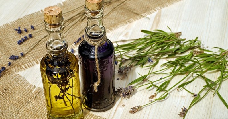 Formation En Naturopathie Animalière Avec Meformer National Deal OohN.com Special Offers, Deals & Discounts in France 2