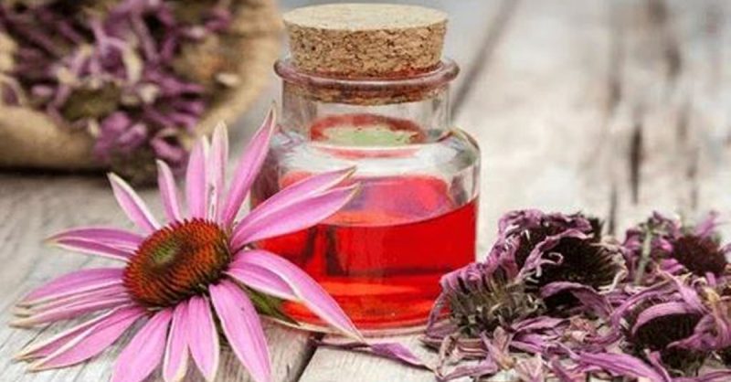 Formation En Naturopathie Appliquée National Deal OohN.com Special Offers, Deals & Discounts in France 2