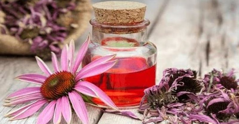 Formation En Naturopathie Appliquée National Deal OohN.com Special Offers, Deals & Discounts in France 2