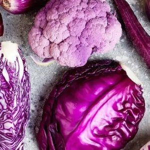 Formation En Permaculture National Deal OohN.com Special Offers, Deals & Discounts in France