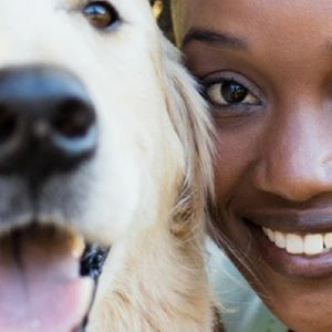Formation Garde Animaux De Compagnie Avec International Open Academy National Deal OohN.com Special Offers, Deals & Discounts in France