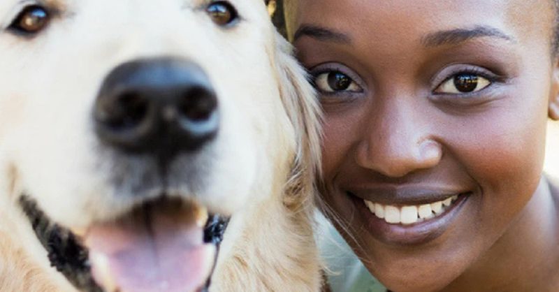 Formation Garde Animaux De Compagnie Avec International Open Academy National Deal OohN.com Special Offers, Deals & Discounts in France
