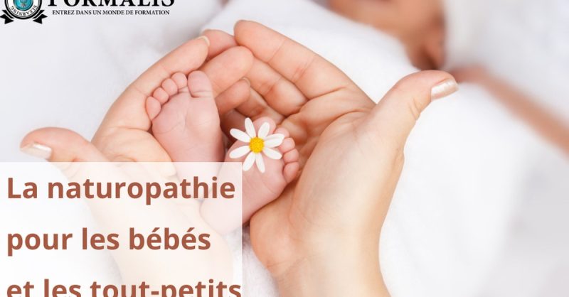 Formation La Naturopathie Pour Les Bébés Et Les Tout-Petits National Deal OohN.com Special Offers, Deals & Discounts in France