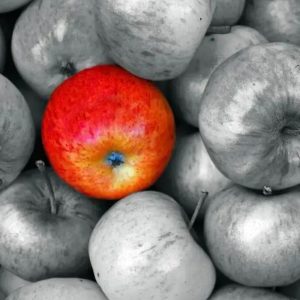 Formation Pour Devenir Coach En Psychologie Positive National Deal OohN.com Special Offers, Deals & Discounts in France