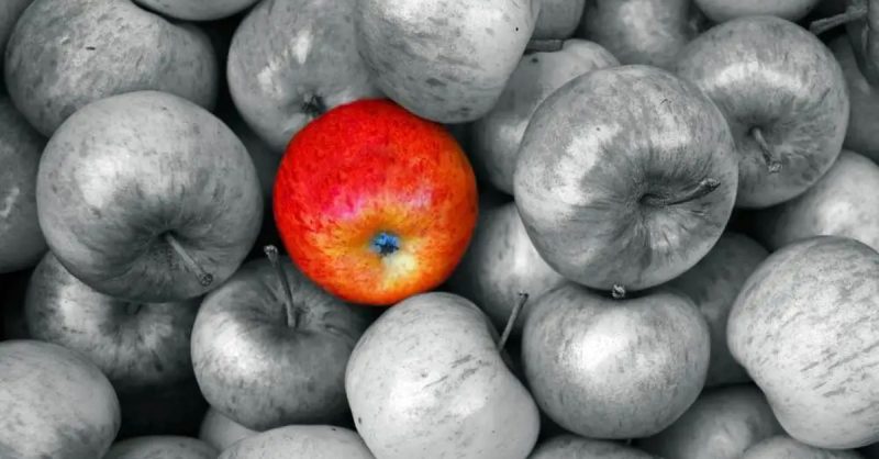 Formation Pour Devenir Coach En Psychologie Positive National Deal OohN.com Special Offers, Deals & Discounts in France