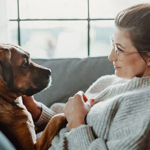 Formation Psychologie Animale Avec International Open Academy National Deal OohN.com Special Offers, Deals & Discounts in France