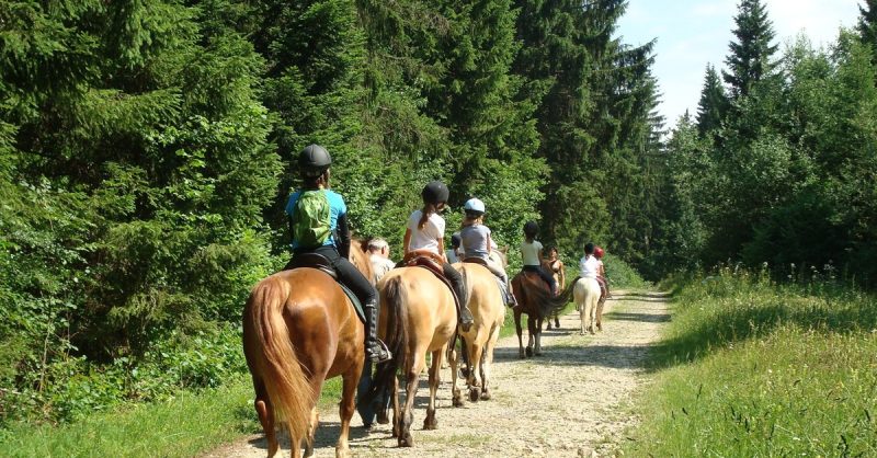 Initiation Poney Pour Enfants Aix-en-Provence OohN.com Special Offers, Deals & Discounts in France