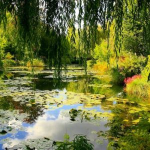 Jardins de Monet à Giverny : Visite guidée d’une demi-journée depuis Paris at Giverny – Excursions d’une journée depuis Paris, Paris, France OohN.com Special Offers, Deals & Discounts in France
