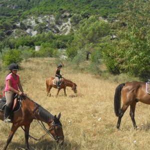 Jusquà 20% De Remise Sur Équitation – Loisir Chez Horse Planet Nice OohN.com Special Offers, Deals & Discounts in France