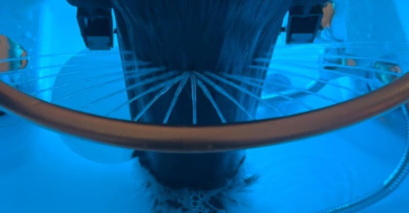 Jusquà 30% De Remise Sur Soins Du Cuir Chevelu Chez Radia Spa & Beauté La Défense – Nanterre OohN.com Special Offers, Deals & Discounts in France 2