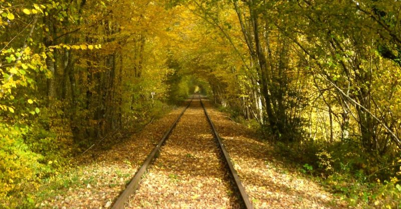 Jusquà 31% De Remise Sur Excursion / Visite – Vélo Chez Velorail Bagnole De Lorne Rennes OohN.com Special Offers, Deals & Discounts in France 3