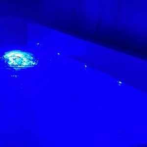 Jusquà 34% De Remise Sur Massage – Couples Chez Concept Spa Massage/Epilation/Jacuzzi Yvelines OohN.com Special Offers, Deals & Discounts in France